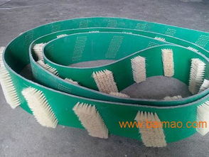 安徽皮帶毛刷產業與空氣凈化器應用 供應、加盟與生產廠家全解析